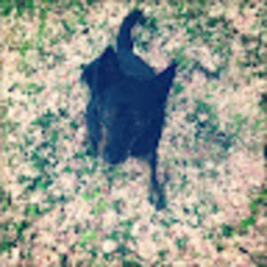 Meet your Posher, Leo